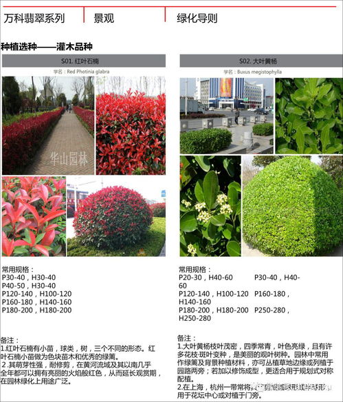 萬(wàn)科翡翠系高端產(chǎn)品景觀技術(shù)標(biāo)準(zhǔn)及其在中草藥科技領(lǐng)域的應(yīng)用啟示