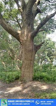 德立康環(huán)境技術(shù) 連接白蟻防治與中草藥科技的專(zhuān)業(yè)橋梁